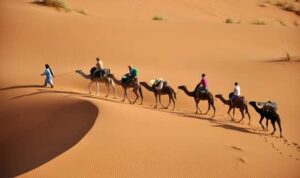Camel trekking in the Sahara Desert near Merzouga with tourists riding camels across golden sand dunes during a desert tour