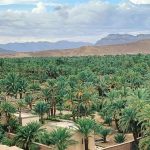 2-Day Zagora Desert Tour from Marrakech