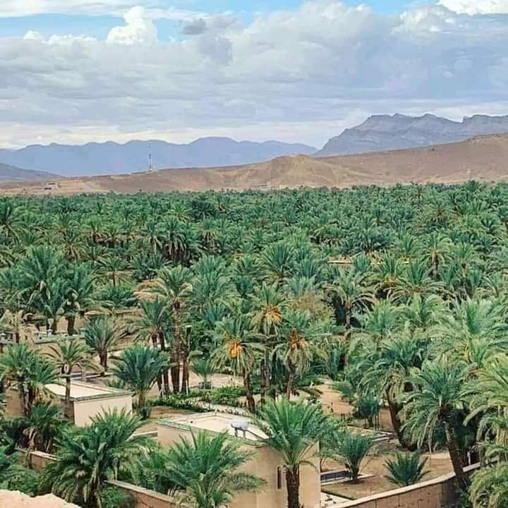 2-Day Zagora Desert Tour from Marrakech