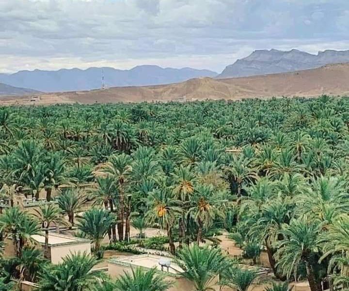 7 DAYS MOROCCO TOURS FROM MARRAKECH