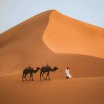 3-Day Tour from Marrakech to Fez via Sahara Desert