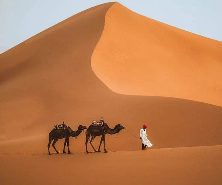 3-Day Tour from Marrakech to Fez via Sahara Desert
