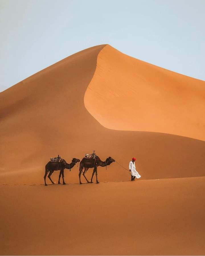 3-Day Tour from Marrakech to Fez via Sahara Desert