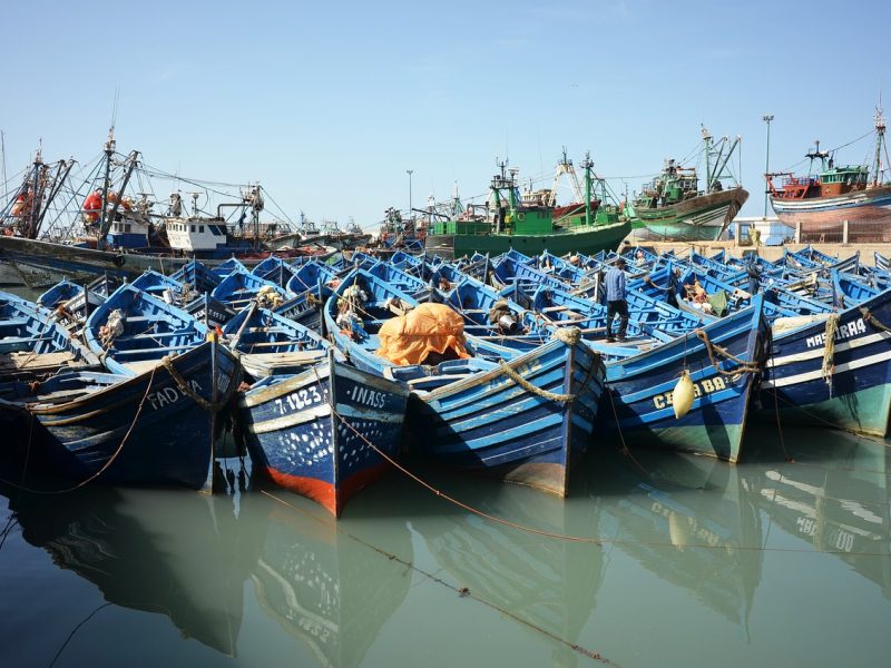 Essaouira Coastal Day Trip from Marrakech