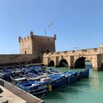 Essaouira Coastal Day Trip from Marrakech